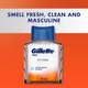 Gillette Pro After Shave Splash Icy Cool 50ml - Aftershave Lotion