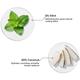Brillare Mint & Coconut Body Wash 200 ml - Shower Gels & Body Wash