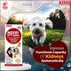 AIMIL Neeri KFT PET Liquid 200 ml - Pet Healthcare