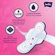 Bella Maxi Drai Wings Sanitary Napkins 15's - Sanitary Napkins