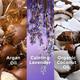 Love Beauty And Planet Argan Oil and Lavender Sulfate Free Smooth and Serene Shampoo 400 ml - Shampoos