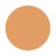 PAC Spotlight Compact Powder 05 Almond 8 gm - Compact Powder