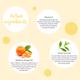 Dot & Key Transparent Sunscreen SPF 50 Spray - Green Tea & Mandarin 50 ml - Body Sunscreen