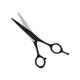 Vega Professional Carbon Crest 6' Black Line Hairdressing Scissor (VPPSC-07) 1's - Grooming Kits