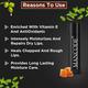 Mancode Choco Mint Lip Balm For Men 4.5 ml - Lip Balms