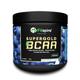 Fitspire Super BCAA Powerful Intra Workout m 25 Servings Blueberry 250 gm - Workout Essentials