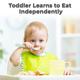 R for Rabbit Safe Feed Silicon Spoon - Blue 1's - Feeding & Nursing
