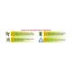 Allen Paintox Gel 30 gm (Pack of 2) 1's - Personal Care (Ayush)