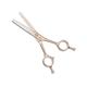Vega Professional Goldwings 30 Thinning Gold Line Hairdressing Scissor (VPPSC-03) 1's - Grooming Kits