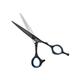 Vega Professional Black Titan 6' Black Line Hairdressing Scissor (VPPSC-05) 1's - Grooming Kits