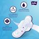 Bella Classic Regular Softi Wings Sanitary Pads 8's - Sanitary Napkins