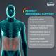 Tynor Cure Abdominal Support (M) (A 01) - Abdomen/Neck/Arm/Elbow Supports