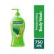 Palmolive Aroma Morning Tonic Body Wash Showergel Single Pump Bottle 750 ml (N) - Shower Gels & Body Wash