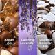Love Beauty And Planet Argan Oil and Lavender Sulfate Free Smooth and Serene Shampoo 200 ml - Shampoos