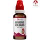Bjain Berberis Vulgaris Drops 30 ml - Homeopathic Drops