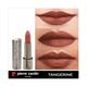 Pierre Cardin ParisMagnetic Dream Lipstick 267 Tangerine 4 gm - Lipsticks