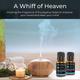 Organic Forest 100% VEGAN Eucalyptus Essential Oil 10 ml - Essential Oils