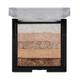 Fashion Colour Shimmer Brick And Blusher, Shade 06 8 gm - Blushes