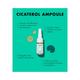 Beplain Cicaterol Ampoule 5 ml - Face Mists