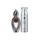 Ajmal Wisal EDP Floral Musky Perfume And Evoke Silver Edition Him Deodorant Spicy Floral Fragrance 250 ml - Perfumes (Edt/Edp)