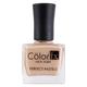 Color Fx Perfect Pastel Longlasting Glossy finish 21 toxin free Non-yellowing Camel - 170 9 ml - Nail Polish