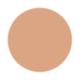PAC Take Cover Concealer 01 Beach Sand 6.8 gm - Concealer