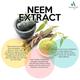 Aaranyaa Anti Dandruff Neem Shampoo 250 ml - Shampoos