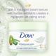 Dove Exfoliating Body Polish With Kiwi Seeds And Cool Aloe, Sulphate Free 298 gm - Scrubs & Exfoliants