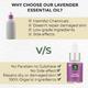 Organic Harvest Lavender Essential Oil 30 ml - Essential Oils