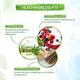 Mamaearth Tea Tree Face Serum 30 ml - Face Serum