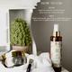 Vedic Valley 100% Natural Detan Face Mask and Mist Combo Certified Natural 250gm and 200gm 2's - Face Mists