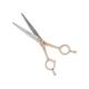 Vega Professional Goldwings 6' Gold Line Hairdressing Scissor (VPPSC-02) 1's - Grooming Kits