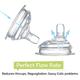 R for Rabbit First Feed Soft Silicon Spout (Steebo Giffy) 1's - Feeding & Nursing