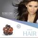 Basicare Claw Clip (Pack Of 2) 1's - Hair Clips/Bands
