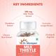Dr. Morepen Milk Thistle Capsule 60's - Vital Health