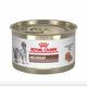 Royal Canin Recovery Dog Food (Can) 195 g - Petfood