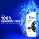 Head & Shoulders Silky Black Anti Dandruff Shampoo for Women & Men 340 gm - Shampoos