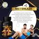 Wild Vedic Naturals Shilajit Capsule 60's - Health Products