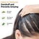 Protouch progrow Hair Growth Oil with Rosemary & Methi, Helps in Hair Regrowth, Anti Hair Fall and Anti Dandruff 100ml - Hair Oils