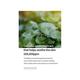 Mixsoon Centella Mask Pack (5Ea) 25 gm - Sheet Masks