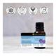 Soulflower Essential Oil - Geranium 15 ml (N) - Essential Oils