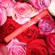 Daily Life Forever52 Velvet Rose Matte Lipstick Rs003 Rs003 3 Ml - Lipsticks