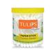 Tulips Premium Paper Stick Cotton Buds Jar 100's - Cotton Balls