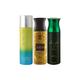 Ajmal 1 Distraction, 1 Aurum Femme And 1 Sacrifice II For Him Deodorants Pack of 3 200 ml - Deodorants/Roll-Ons