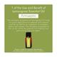 Nyassa Lemongrass Essential Oil 100% Pure & Natural 10 ml - Essential Oils