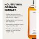 ONE THING Houttuynia Cordata Extract 150 ml - Toners