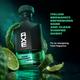 AXE Premium Luxury Perfumes - Aqua Bergamot EDP 100 ml - Men Perfumes (Edt/Edp)