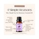 Essentia Extracts Rosemary Essential Oil 15 ml - Essential Oils