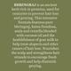 Biotique Bio Bhringraj Oil 200 ml - Hair Oils