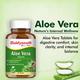 Baidyanath Aloe Vera Tablet 60's - Speciality Medicines